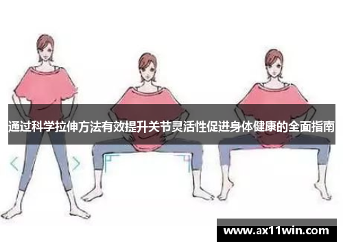 通过科学拉伸方法有效提升关节灵活性促进身体健康的全面指南
